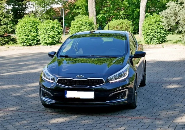 Kia Pro_cee'd cena 43900 przebieg: 176000, rok produkcji 2017 z Olsztyn małe 407